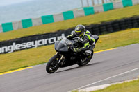 PJ-Motorsport-2019;anglesey-no-limits-trackday;anglesey-photographs;anglesey-trackday-photographs;enduro-digital-images;event-digital-images;eventdigitalimages;no-limits-trackdays;peter-wileman-photography;racing-digital-images;trac-mon;trackday-digital-images;trackday-photos;ty-croes